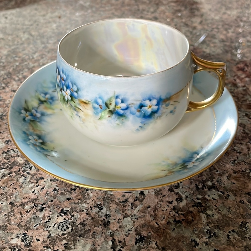 VTG Hand-painted Porcelain Teacup & Saucer